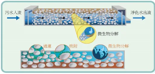 礫間淨化示意圖