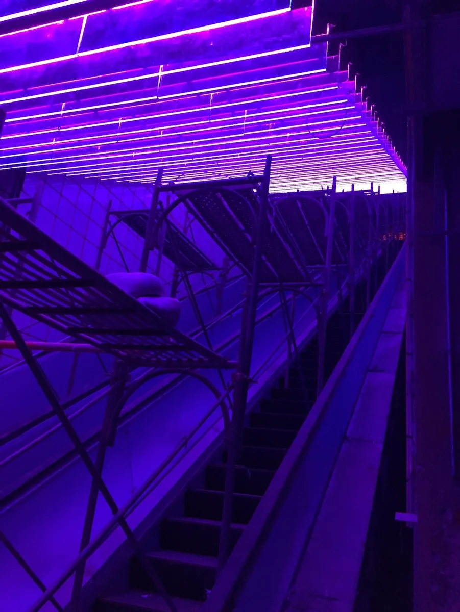 大坪林站，在燈光色彩變化上，還有不少驚喜