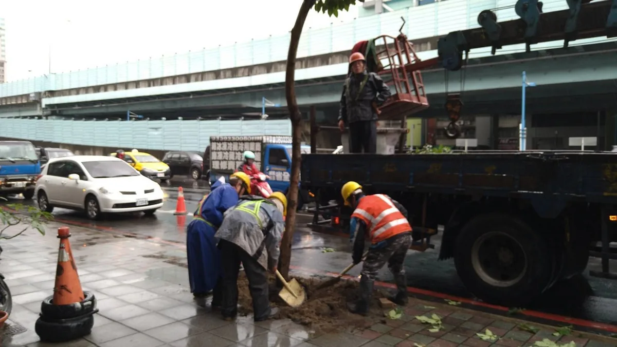 施工人員遷移路樹