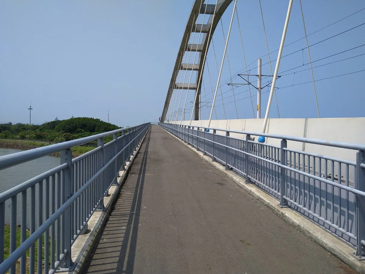 藍海橋吊索健康檢查