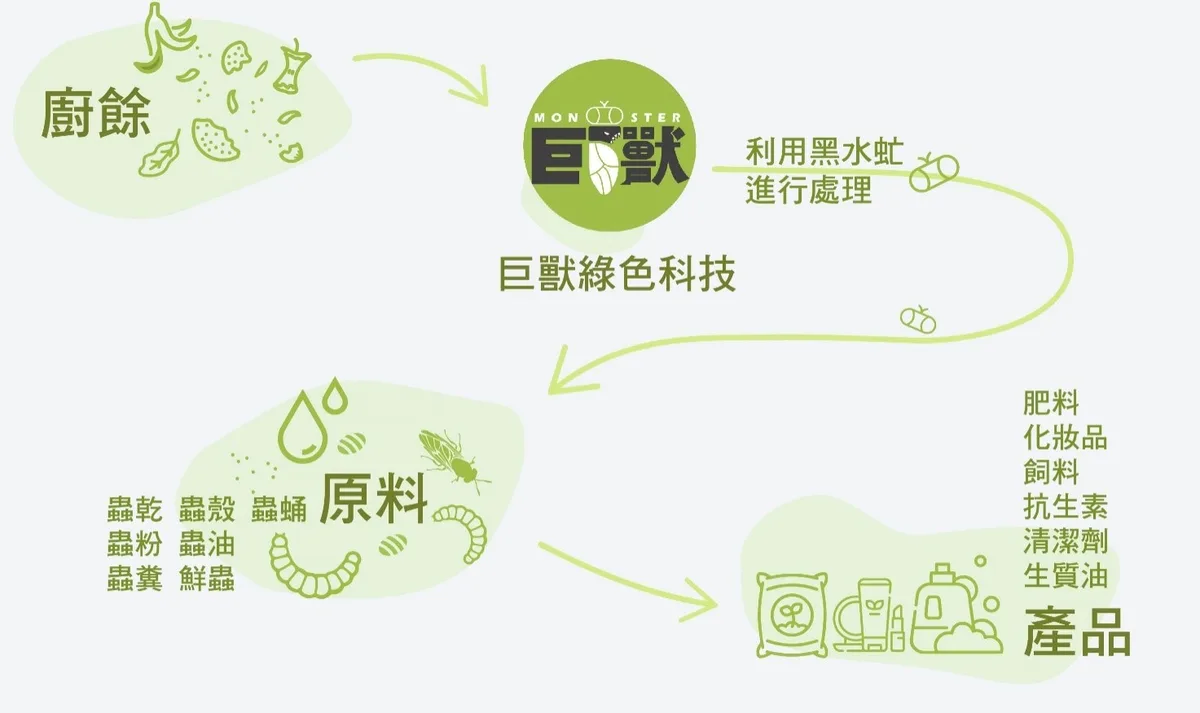 黑水虻循環系統