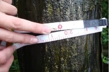 直徑尺量測圖農景施 01-(民)附件二）