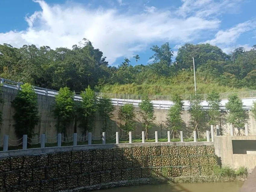 行政大樓喬木綠化