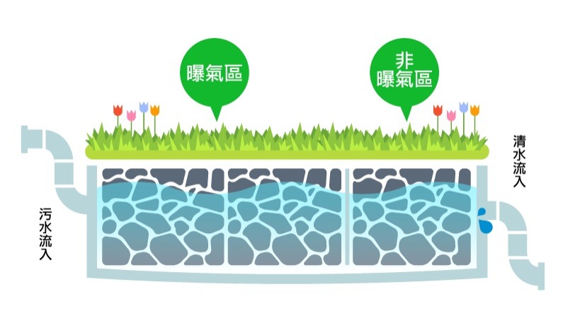 礫間淨化示意圖
