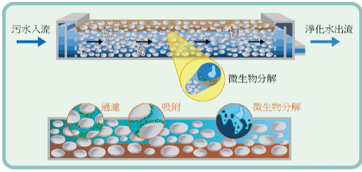 礫間淨化示意圖
