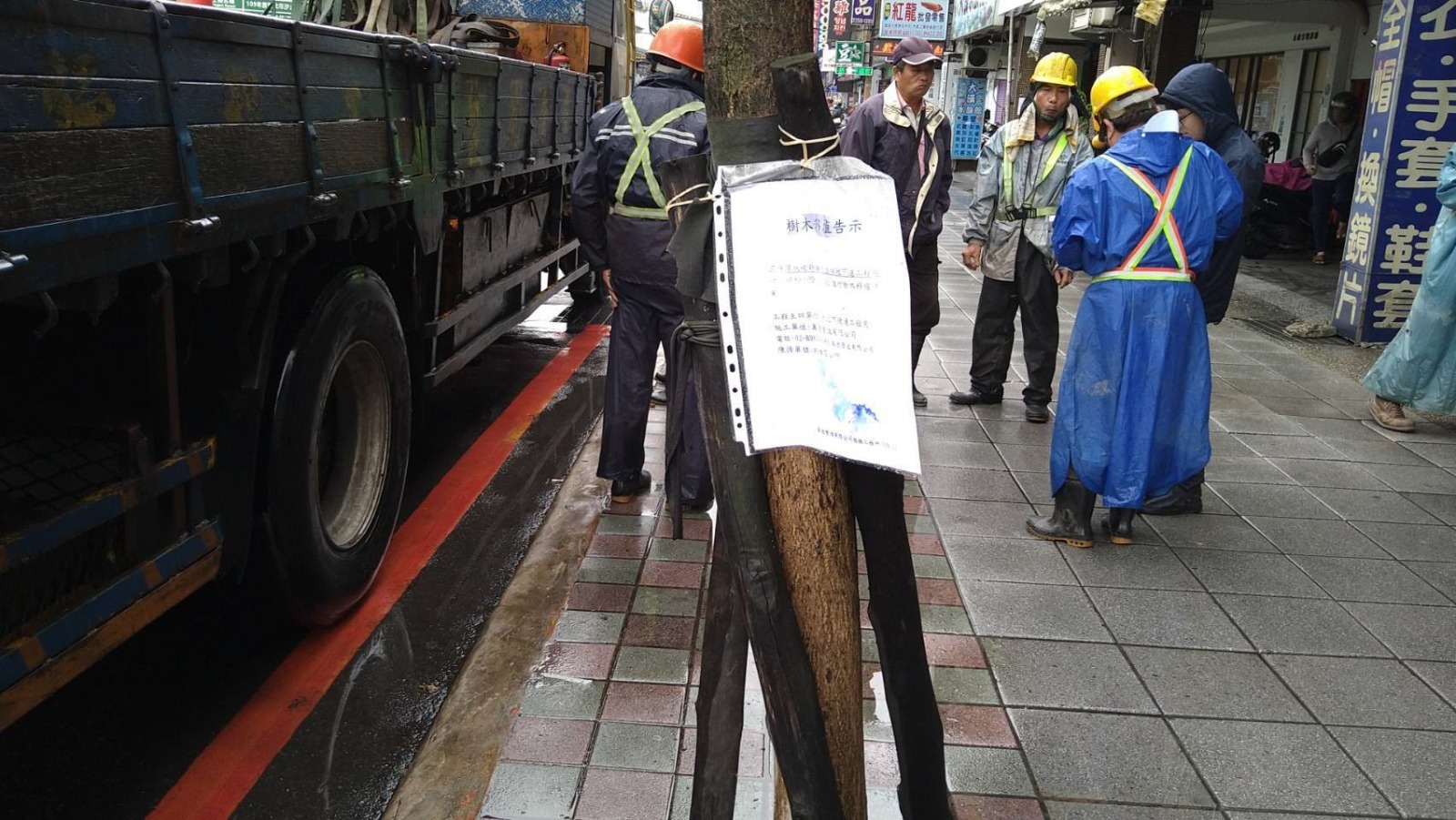 遷移路樹公告