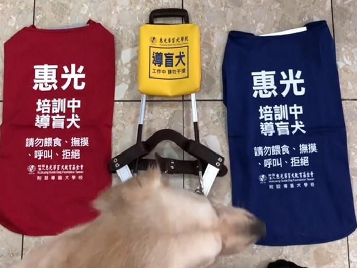 導盲犬裝備一覽