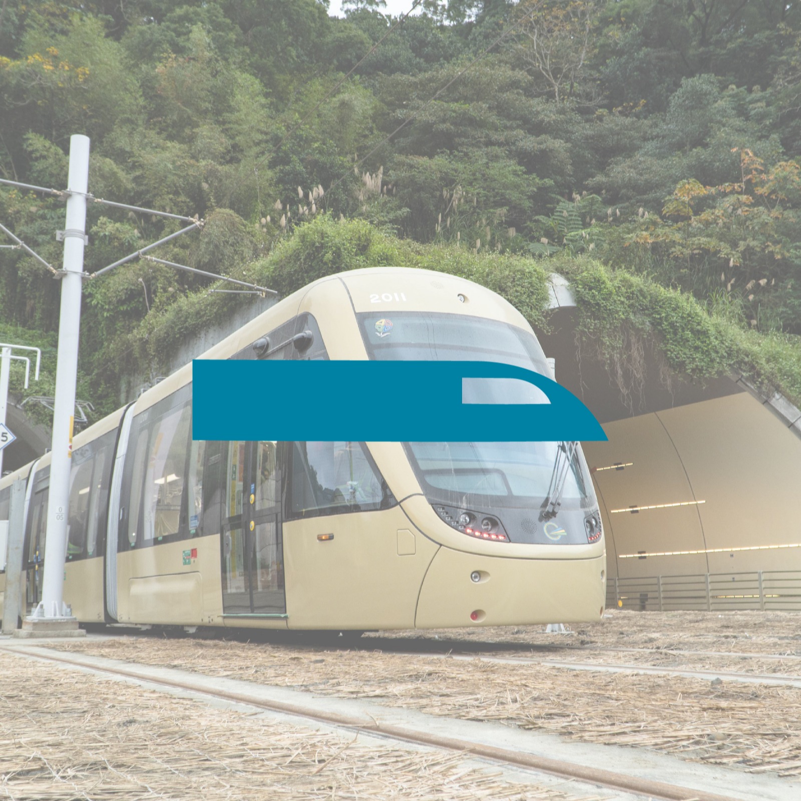 捷運車頭、鳥形