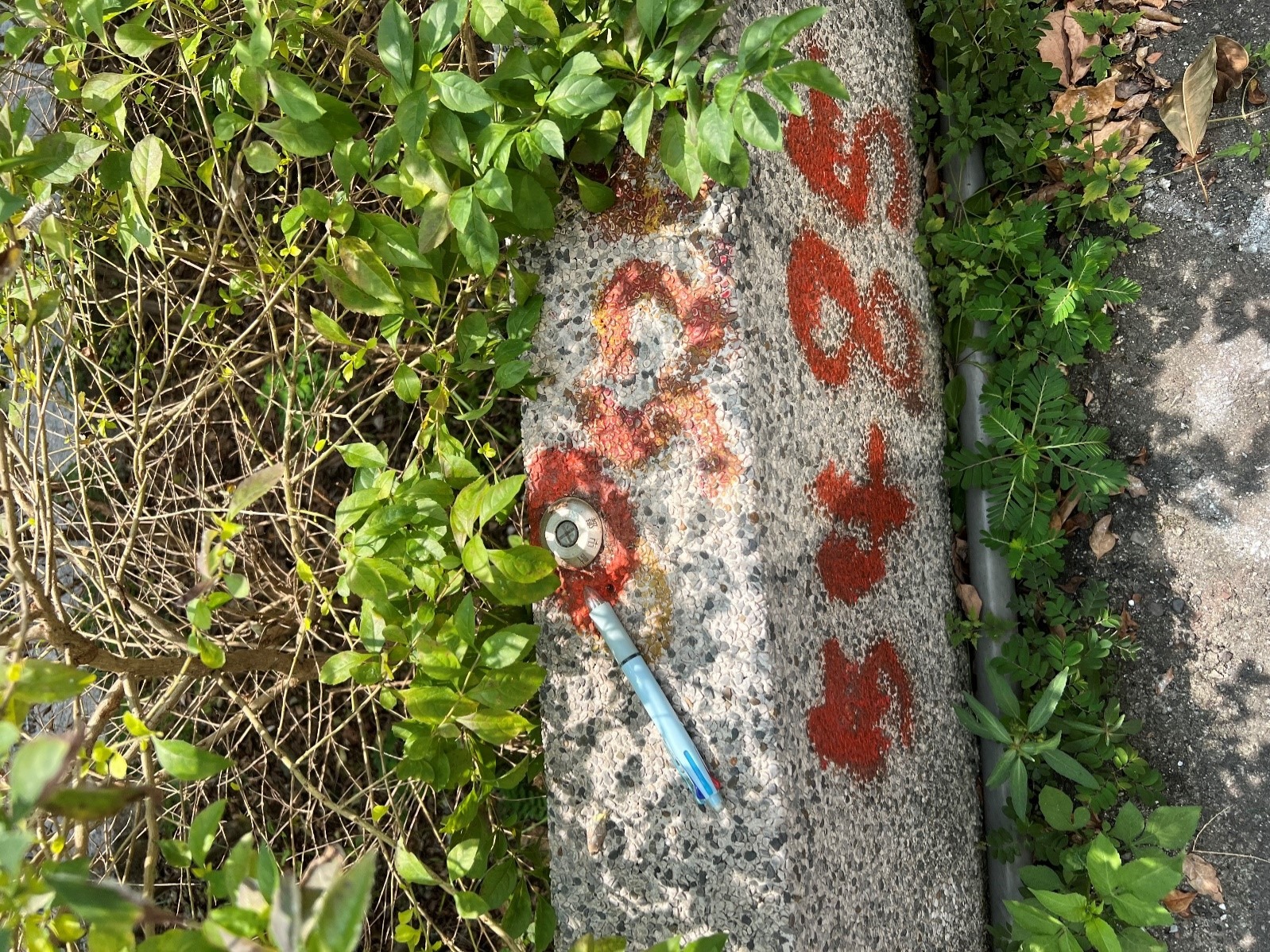 大坪林捷運站界樁S5485