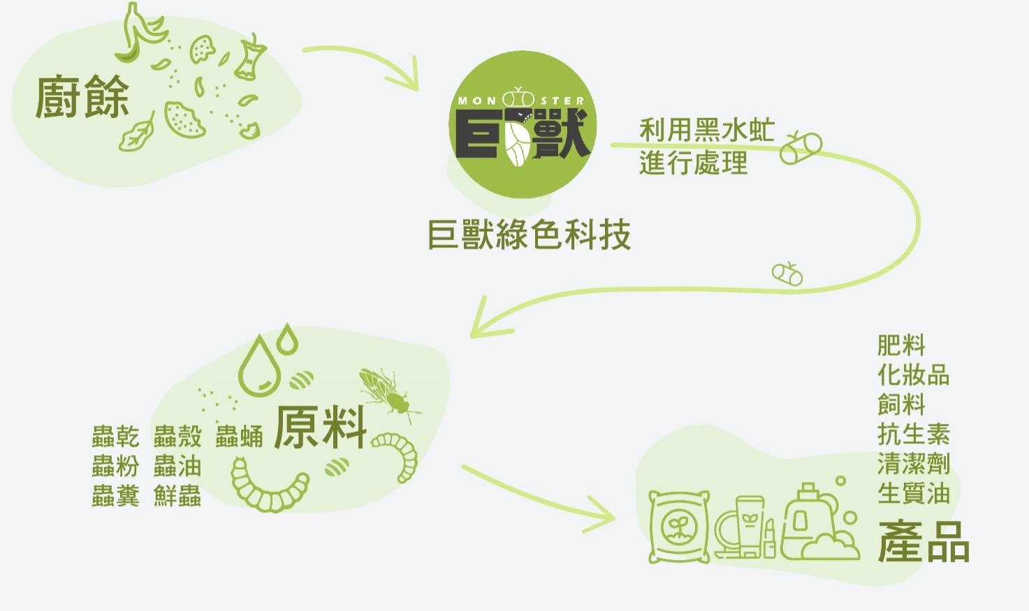 黑水虻循環系統