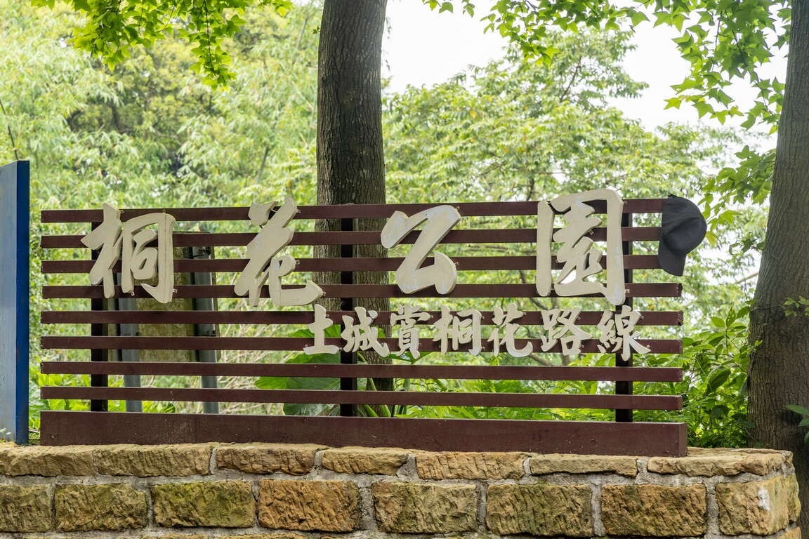 土城桐花公園