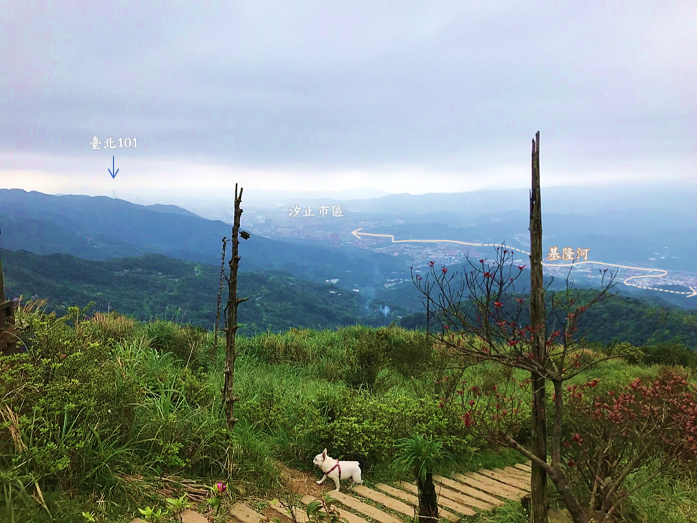 姜子寮山頂可一覽基隆河谷