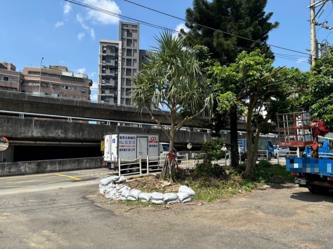 吉林街植栽移植作業-植栽修剪(完成圖)