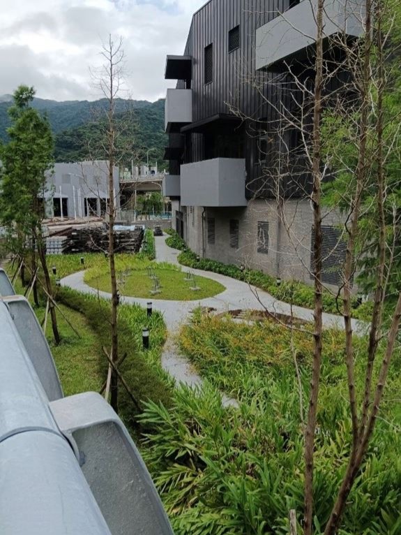 安坑行政大樓植栽一隅