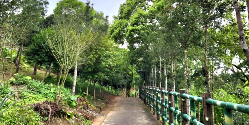 土城｜蝴蝶步道（大安圳賞蝶步道）（圖片出處：健行筆記）