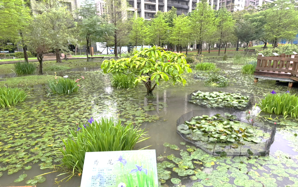 頭前運動公園-植栽景觀