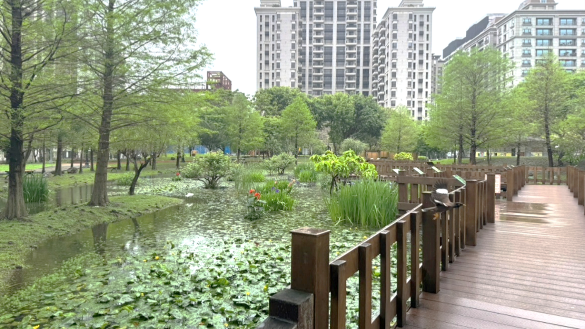 頭前運動公園-植栽景觀