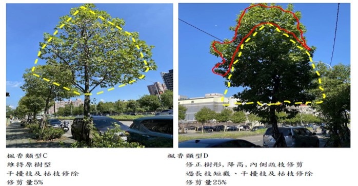 評估修剪範圍